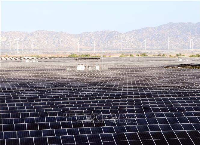 Dự án điện mặt trời, công suất 450MW do Công ty cổ phần Đầu tư xây dựng Trung Nam (Trungnam Group) đẩu tư tại xã Thuận Nam đã được đưa vào vận hành. Ảnh: Công Thử - TTXVN
