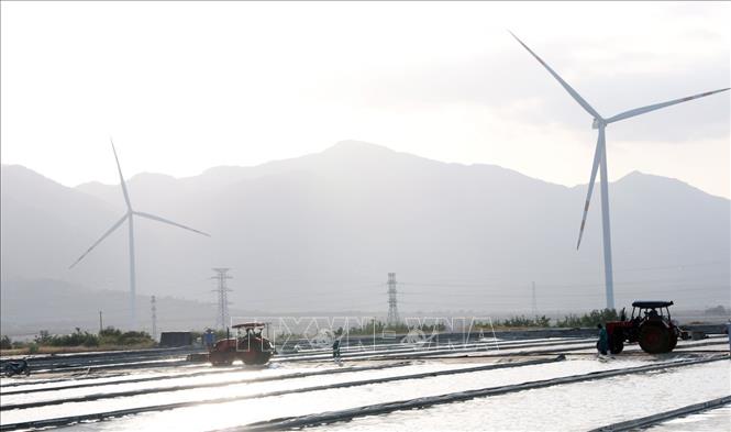 Các trụ điện gió được xây dựng trên cánh đồng muối ở xã Thuận Nam, tỉnh Khánh Hòa. Ảnh: Xuân Triệu - TTXVN