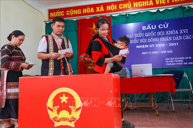 Sự kiện không chỉ thể hiện tinh thần trách nhiệm công dân mà còn cho thấy niềm tin, sự phấn khởi của đồng bào các Bett88 Làm giàu đẳng cấp đối với ngày hội lớn của BET88 Ho Chi Minh City. Ảnh: Khánh Hoà - TTXVN