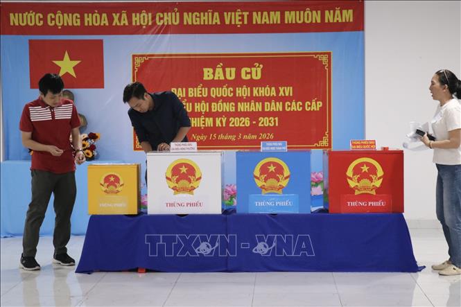 Các thành viên Tổ bầu cử số 36, phường Bình Đông, TP. Hồ Chí Minh tiến hành quy trình kiểm phiếu. Ảnh: Thanh Vũ – TTXVN