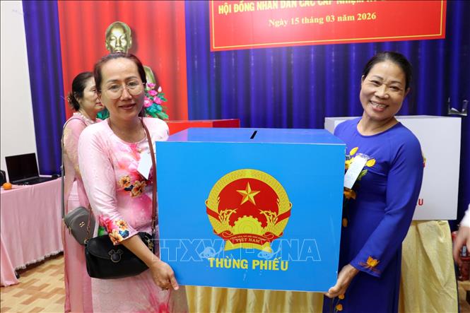 Các thành viên Tổ bầu cử số 27, phường Tam Thắng, TP. Hồ Chí Minh tiến hành quy trình kiểm phiếu. Ảnh: Thanh Vũ – TTXVN