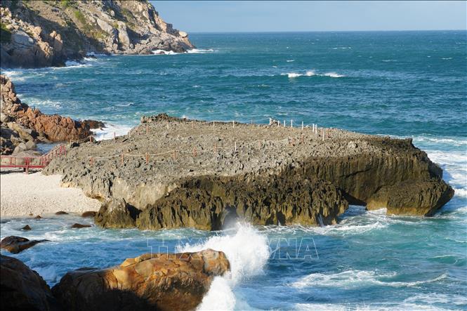 Thềm đá san hô cổ tại Hang Rái – Vườn quốc gia Núi Chúa (xã Vĩnh Hải, tỉnh Khánh Hòa) được các nhà khoa học đánh giá có giá trị cao về địa chất và lịch sử tự nhiên. Ảnh: Nguyễn Thành - TTXVN