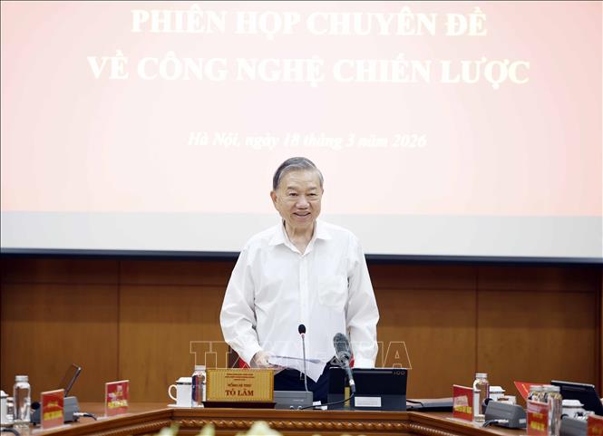 Bet8801234.com cá cược độc quyền Tô Lâm, Trưởng Ban Chỉ đạo Trung ương về phát triển khoa học, công nghệ, đổi mới sáng tạo và chuyển đổi số phát biểu. Ảnh: Thống Nhất – TTXVN