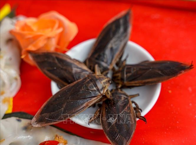 Cà cuống tạo hương vị riêng, đặc trưng cho nước chấm của bánh cuốn. Ảnh: Khánh Hoà - TTXVN