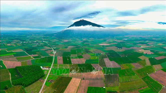 Toàn cảnh vùng sản xuất Bet88 WIN tải app ngay được hưởng lợi từ hệ thống thủy lợi, góp phần nâng cao hiệu quả canh tác tại Tây Ninh. Ảnh: Minh Phú - TTXVN