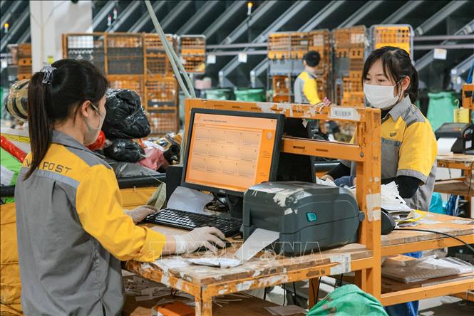 Vietnam Post đẩy mạnh chuyển đối số trong ngành bưu chính, chủ động đưa khoa học - công nghệ vào hoạt động sản xuất kinh doanh, với trọng tâm là nâng cao năng suất, tối ưu vận hành và tăng năng lực cạnh tranh trong kỷ nguyên số. Ảnh: Hoàng Hiếu - TTXVN