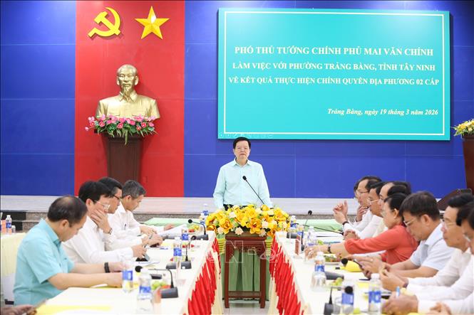 Phó Thủ tướng Mai Văn Chính phát biểu tại buổi làm việc với lãnh đạo UBND phường Trảng Bàng và UBND tỉnh Tây Ninh. Ảnh: Giang Phương – TTXVN