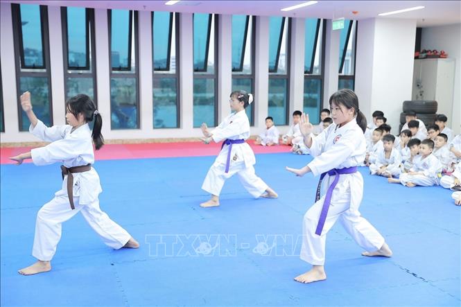 Các võ sinh tập luyện với bài quyền đồng đội. Ảnh: Minh Quyết - TTXVN