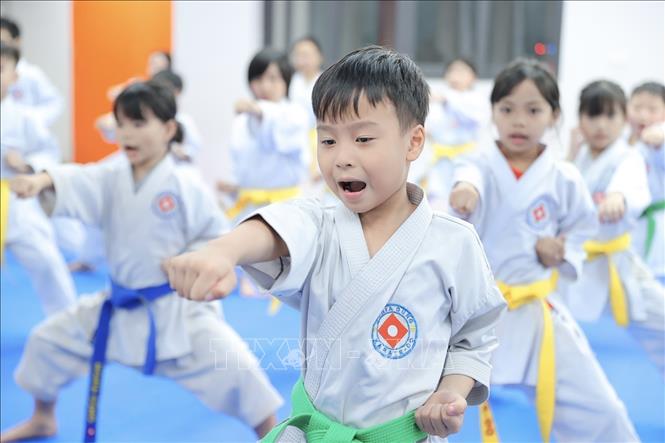 Lớp võ Karate của xã được thành lập từ năm 1995 và duy trì đến nay, thành phần chủ yếu là lứa tuổi thanh thiếu niên, từ học sinh tiểu học đến học sinh THPT. Ảnh: Minh Quyết - TTXVN