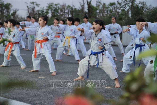 Những năm gần đây, Karate đang là một trong những môn thi đấu thế mạnh của xã Đông Anh. Ảnh: Minh Quyết - TTXVN