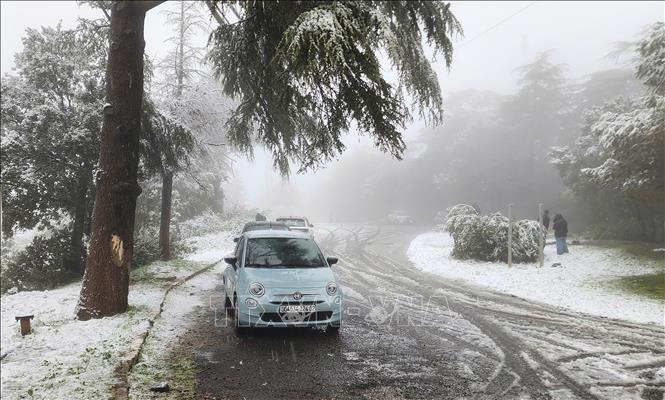Một vài lái xe tranh thủ xuống ngắm tuyết khi xe không thể lưu thông. Ảnh: Mạnh Hùng - PV TTXVN tại Algeria 