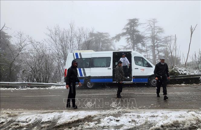 Người dân địa phương tìm cách 