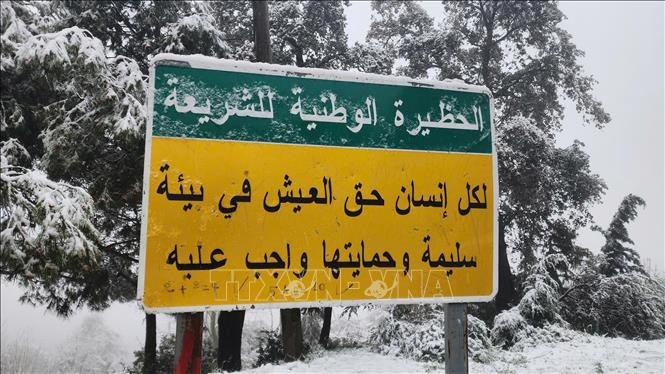 Tuyết rơi dày tại tỉnh Blida của Algeria chiều 29/3. Ảnh: Mạnh Hùng - PV TTXVN tại Algeria 