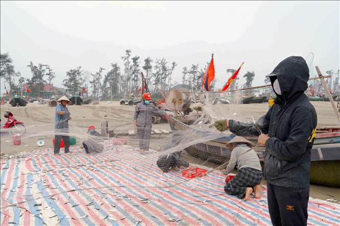 Những mẻ lưới đầy cá được ngư dân gỡ ngay khi cập bờ. Ảnh: Hữu Quyết - TTXVN