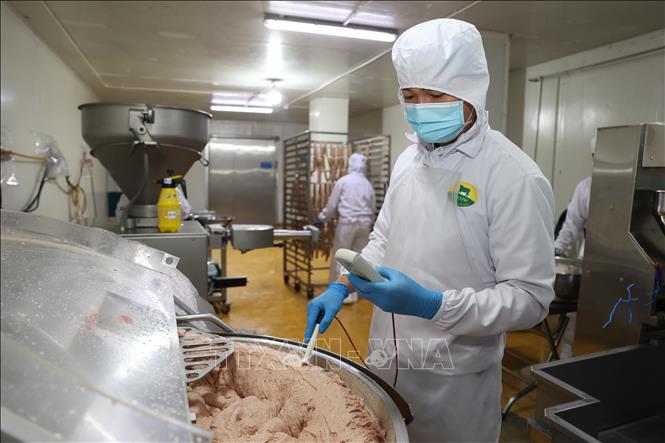Quy trình kiểm tra nhằm bảo đảm chất lượng đồng nhất cho từng lô sản phẩm. Ảnh: Thanh Tân - TTXVN