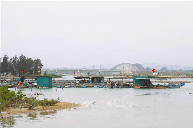 Vô số giàn hàu và lồng bè mọc dày đặc trên sông Hoàng Mai đoạn thuộc khu vực cửa biển Lạch Cờn (Nghệ An). Ảnh: Xuân Tiến - TTXVN 