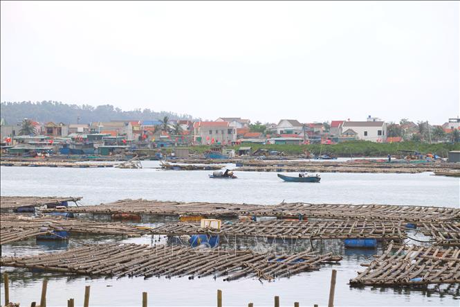 Cửa lạch Lạch Cờn là nơi neo đậu và tránh trú bão của tàu thuyền nhưng bị chiếm dụng để nuôi hàu trái phép từ hơn 10 năm qua. Ảnh: Xuân Tiến - TTXVN 
