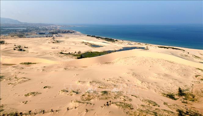 Đồi cát Mũi Dinh (xã Phước Dinh, Khánh Hòa) trải rộng mênh mông ven biển. Ảnh: Nguyễn Thành - TTXVN