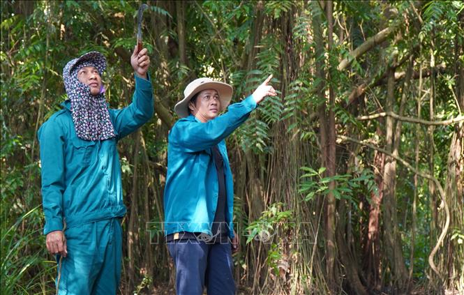 Lực lượng phòng cháy Vườn Quốc gia U Minh Hạ kiểm tra công tác phòng cháy tại Vườn Quốc gia U Minh Hạ. Ảnh: Tuấn Phi – TTXVN 