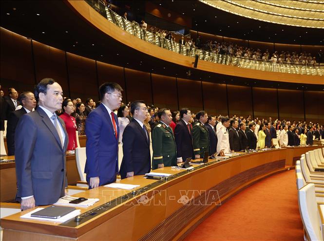 Các đại biểu thực hiện nghi thức chào cờ. Ảnh: Thống Nhất - TTXVN