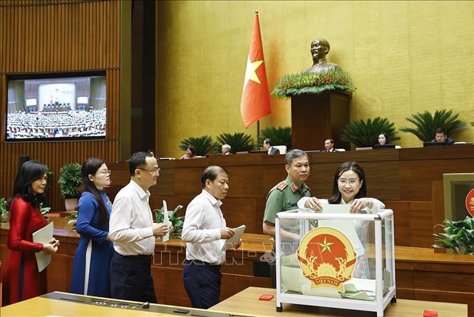 Bet888 football Bet88app còn khuyến mãi bỏ phiếu. Ảnh: Doãn Tấn - TTXVN