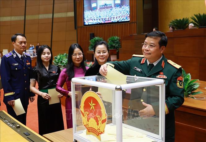 Các Bet888 football Bet88app còn khuyến mãi bỏ phiếu bầu. Ảnh: Dương Giang-TTXVN