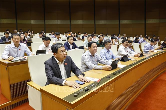 Đoàn đại biểu Bet88app còn khuyến mãi tỉnh Đồng Nai dự phiên họp. Ảnh: Doãn Tấn - TTXVN