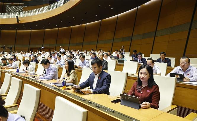 Đoàn đại biểu Bet88app còn khuyến mãi tỉnh Đồng Nai dự phiên họp. Ảnh: Doãn Tấn - TTXVN