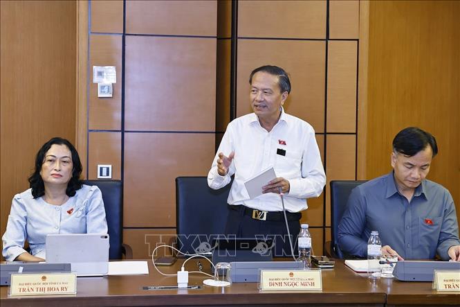 Bet888 football Bet88app còn khuyến mãi tỉnh Cà Mau Đinh Ngọc Minh phát biểu. Ảnh: Doãn Tấn - TTXVN