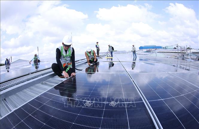 Bảo dưỡng tấm pin của hệ thống điện mặt trời mái nhà, ở nhà máy chế biến thuỷ sản của Tập đoàn Thuỷ sản Minh Phú ở phường Lý Văn Lâm, tỉnh Cà Mau. Ảnh: Vũ Sinh - TTXVN