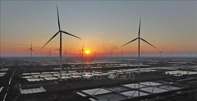 Cánh đồng điện gió của Nhà máy Điện gió Hòa Bình 5, có 26 trụ điện gió đang vận hành sản xuất, tại xã Vĩnh Hậu, tỉnh Cà Mau. Ảnh: Vũ Sinh – TTXVN