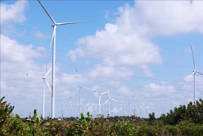 Nhà máy Điện gió Hoà Bình 5 - giai đoạn 1 (Công ty Cổ phần Đầu tư Hacom Holdings), thuộc địa bàn xã Vĩnh Hậu, tỉnh Cà Mau, là nhà máy điện gió có quy mô lớn nhất trên đất liền ven biển tại khu vực Đồng bằng sông Cửu Long, công suất 80MW, tổng số vốn đầu tư hơn 3.700 tỉ đồng. Ảnh: Vũ Sinh – TTXVN