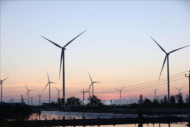 Cánh đồng điện gió của Nhà máy Điện gió Hòa Bình 5, với 26 trụ điện gió đang vận hành sản xuất ở xã Vĩnh Hậu, tỉnh Cà Mau. Ảnh: Vũ Sinh – TTXVN