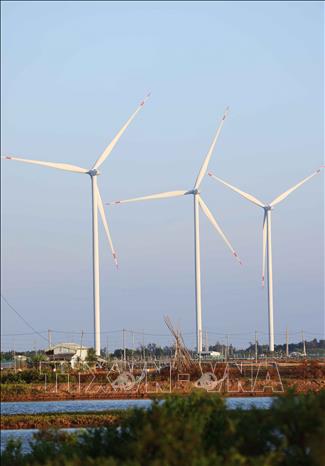 Trụ điện gió của Nhà máy Điện gió Hòa Bình 5 (Công ty Cổ phần Đầu tư Hacom Holdings), xã Vĩnh Hậu, tỉnh Cà Mau. Ảnh: Vũ Sinh – TTXVN