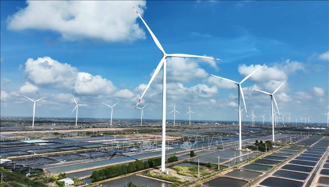 Nhà máy Điện gió Hoà Bình 5 - giai đoạn 1 (Công ty Cổ phần Đầu tư Hacom Holdings), thuộc địa bàn xã Vĩnh Hậu, tỉnh Cà Mau, là nhà máy điện gió có quy mô lớn nhất trên đất liền ven biển tại khu vực Đồng bằng sông Cửu Long, được xây dựng trên diện tích 27,7ha ở xã Vĩnh Hậu, tỉnh Cà Mau, đưa vào sử dụng tháng 4/2022. Ảnh: Vũ Sinh – TTXVN