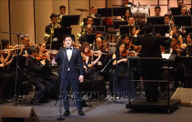 Tiết mục biểu diễn của ca sĩ Trường Linh tại Chương trình nghệ thuật 