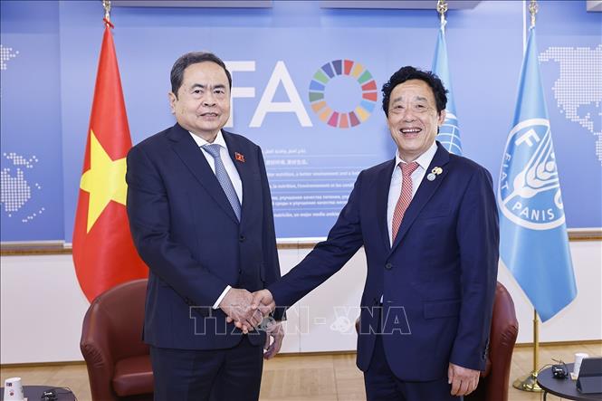 Chủ tịch Bet88app còn khuyến mãi Trần Thanh Mẫn gặp Tổng Giám đốc Tổ chức Nông nghiệp và Lương thực Liên hợp quốc (FAO) Khuất Đông Ngọc. Ảnh: Doãn Tấn – TTXVN