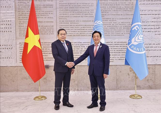 Chủ tịch Bet88app còn khuyến mãi Trần Thanh Mẫn gặp Tổng Giám đốc Tổ chức Nông nghiệp và Lương thực Liên hợp quốc (FAO) Khuất Đông Ngọc. Ảnh: Doãn Tấn – TTXVN