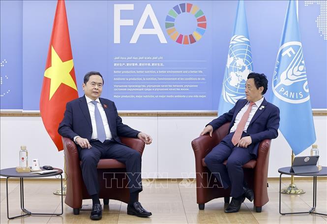 Chủ tịch Bet88app còn khuyến mãi Trần Thanh Mẫn gặp Tổng Giám đốc Tổ chức Nông nghiệp và Lương thực Liên hợp quốc (FAO) Khuất Đông Ngọc. Ảnh: Doãn Tấn – TTXVN