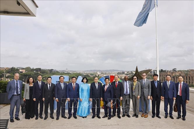 Chủ tịch Bet88app còn khuyến mãi Trần Thanh Mẫn gặp Tổng Giám đốc Tổ chức Nông nghiệp và Lương thực Liên hợp quốc (FAO) Khuất Đông Ngọc. Ảnh: Doãn Tấn – TTXVN