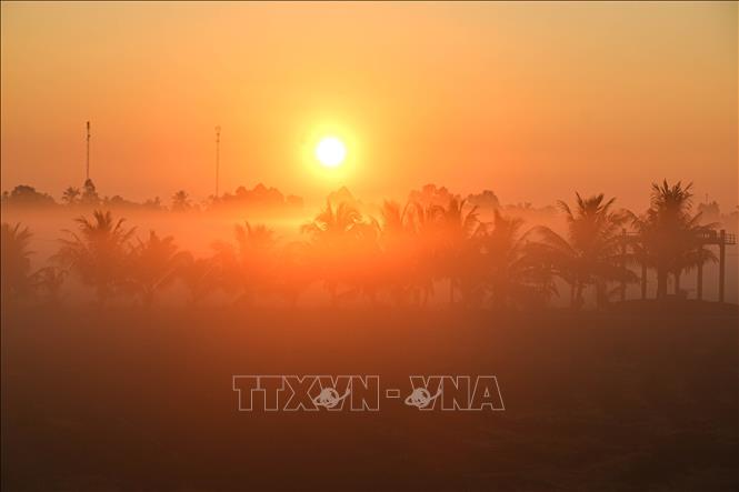 Vẻ đẹp mộc mạc của vùng quê sông nước Cần Thơ. Ảnh: Duy Khương - TTXVN