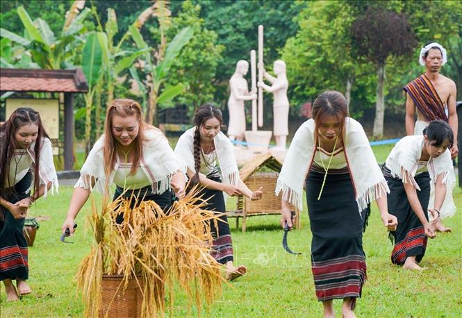 Lễ cúng mừng lúa mới - lễ thức quan trọng trong đời sống tâm linh, Bet88013 88k Cho Tân Thủ cộng đồng bào Chu Ru. Ảnh: Khánh Hoà - TTXVN