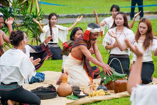 Lễ cúng mừng lúa mới - lễ thức quan trọng trong đời sống tâm linh, Bet88013 88k Cho Tân Thủ cộng đồng bào Chu Ru. Ảnh: Khánh Hoà - TTXVN