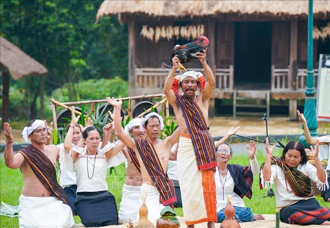 Lễ cúng mừng lúa mới - lễ thức quan trọng trong đời sống tâm linh, Bet88013 88k Cho Tân Thủ cộng đồng bào Chu Ru. Ảnh: Khánh Hoà - TTXVN