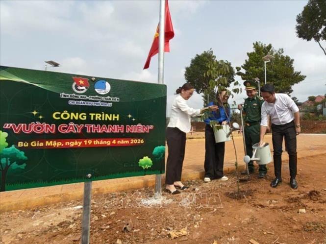  Công trình “Vườn cây thanh niên” tại khu vực công viên xã. Ảnh: K GỬIH-TTXVN 