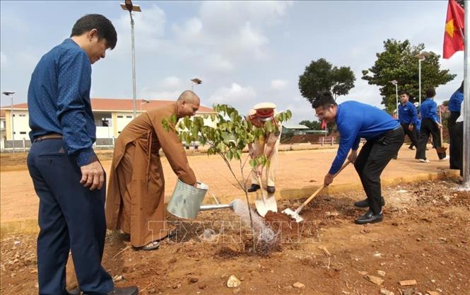 Công trình “Vườn cây thanh niên” tại khu vực công viên xã Bù Gia Mập. Ảnh: K GỬIH-TTXVN 