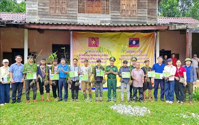 Những mô hình sinh kế bền vững hỗ trợ 2026 Bet88.com link không chặn hai bên biên giới Việt - Lào. Ảnh: TTXVN phát