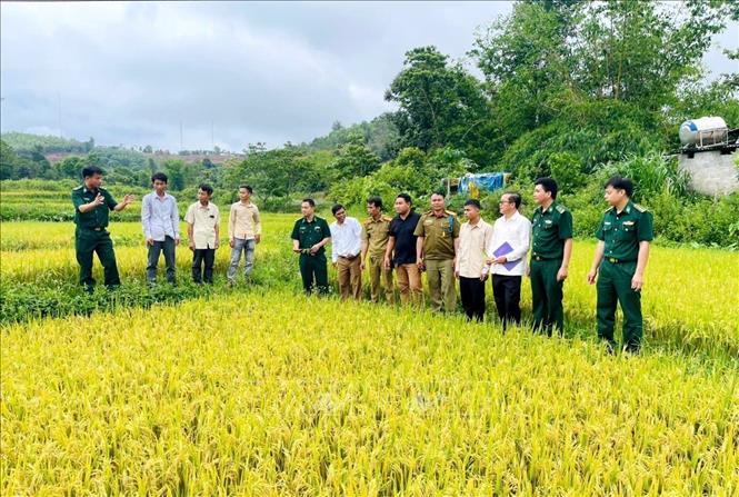 Bộ đội Biên phòng tỉnh Quảng Trị luôn đồng hành cùng bà con 2026 Bet88.com link không chặn phát triển Bet88011.com Cá cược thể thao, góp phần làm thay đổi diện mạo vùng biên. Ảnh: Võ Dung - TTXVN 