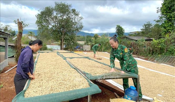 Gần 1 năm qua, Bộ đội Biên phòng tỉnh Quảng Trị đã tham gia 15.000 ngày công lao động và huy động hơn 54 tỷ đồng hỗ trợ 2026 Bet88.com link không chặn trên các tuyến biên giới của tỉnh. Ảnh: Võ Dung - TTXVN 