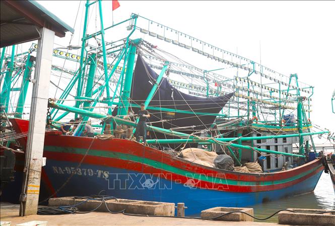 Tàu công suất lớn của ngư dân được trang bị hàng trăm đèn Led để dẫn dụ hải sản bằng nguồn sáng mạnh khi đánh bắt. Khi vận hành chiếu sáng, máy phát điện chạy rất nhẹ tải. Ảnh: Xuân Tiến - TTXVN 